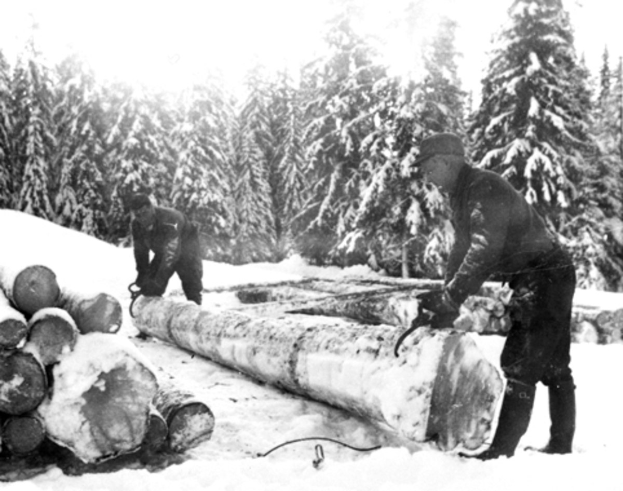 Zwei Männer in Schwarz-Weiß schneiden Baumstämme in einem verschneiten Wald mit Kettensägen.
