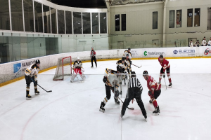 Eine Gruppe von Menschen mit Helmen und Hockeystöcken spielt ein Spiel auf einem Eisstadion mit einem Netz in der Mitte, während Zuschauer auf Stühlen im Hintergrund hinter Glaswänden sitzen.