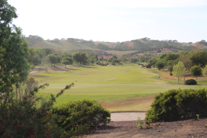 Golfplatz mit saftig grünem Rasen, hohen Bäumen, Pflanzen, Blumen, Hügeln und einem hellblauen Himmel im Hintergrund.