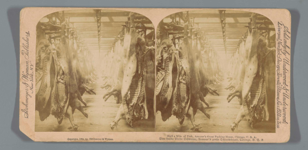 Ein Schwarz-Weiß-Foto einer Gruppe von Tieren, die von der Decke in einem Schlachthof hängen, mit Text auf einem Blatt Papier davor.