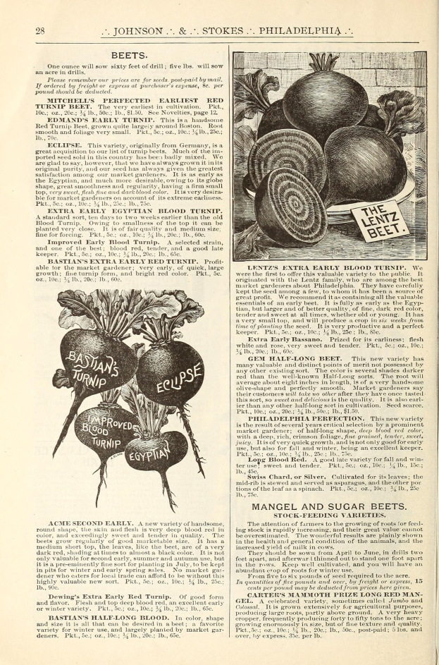 Offenes Buch mit Bildern und Text über Gemüse, einschließlich Rote Beete, auf seinen Seiten.