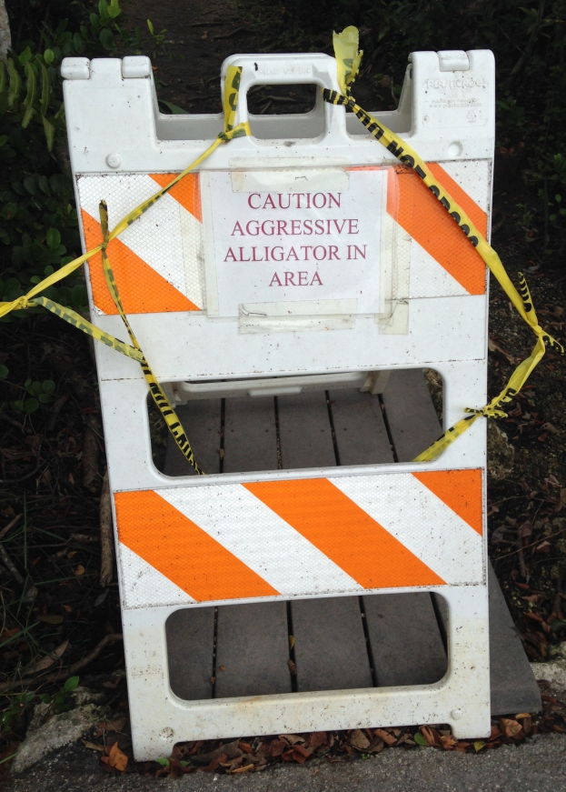 Weißes und oranges Warnschild am Straßenrand mit Warnband drumherum, mit ein paar Pflanzen im Hintergrund.