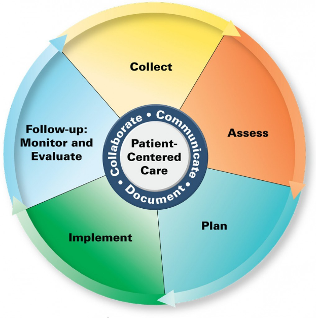 Kreisförmiges Diagramm mit der Überschrift "patientenorientierte Pflege" und vier farbcodierten Abschnitten, die jeweils mit einem spezifischen Pflegebereich beschriftet sind.
