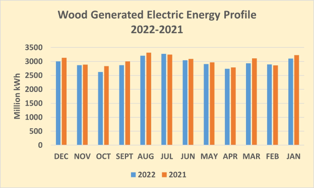 Liniendiagramm, das den Profil der elektrischen Energie aus Holz von 2021 bis 2022 zeigt, mit begleitendem erklärendem Text.