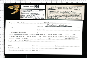 Ein Blatt Papier mit einer Liste von Elementen und einem QR-Code, das neben einem Lineal liegt.