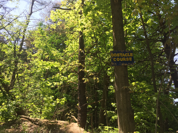 Ein Schotterweg im Wald, der von einem Schild mit der Aufschrift "Hindernisparcours" markiert ist, umgeben von Bäumen auf beiden Seiten und mit sichtbarem Himmel im Hintergrund.