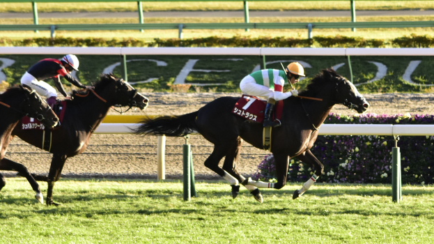 Zwei Jockeys in Helmen lassen ihre Pferde auf einer von Grün umgebenen Bahn galoppieren, im Hintergrund ist ein Geländer und eine Texttafel zu sehen.
