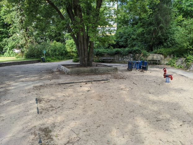 Müll, Grillrückstände und Beschwerden: Wird Mainz' Volkspark immer dreckiger?